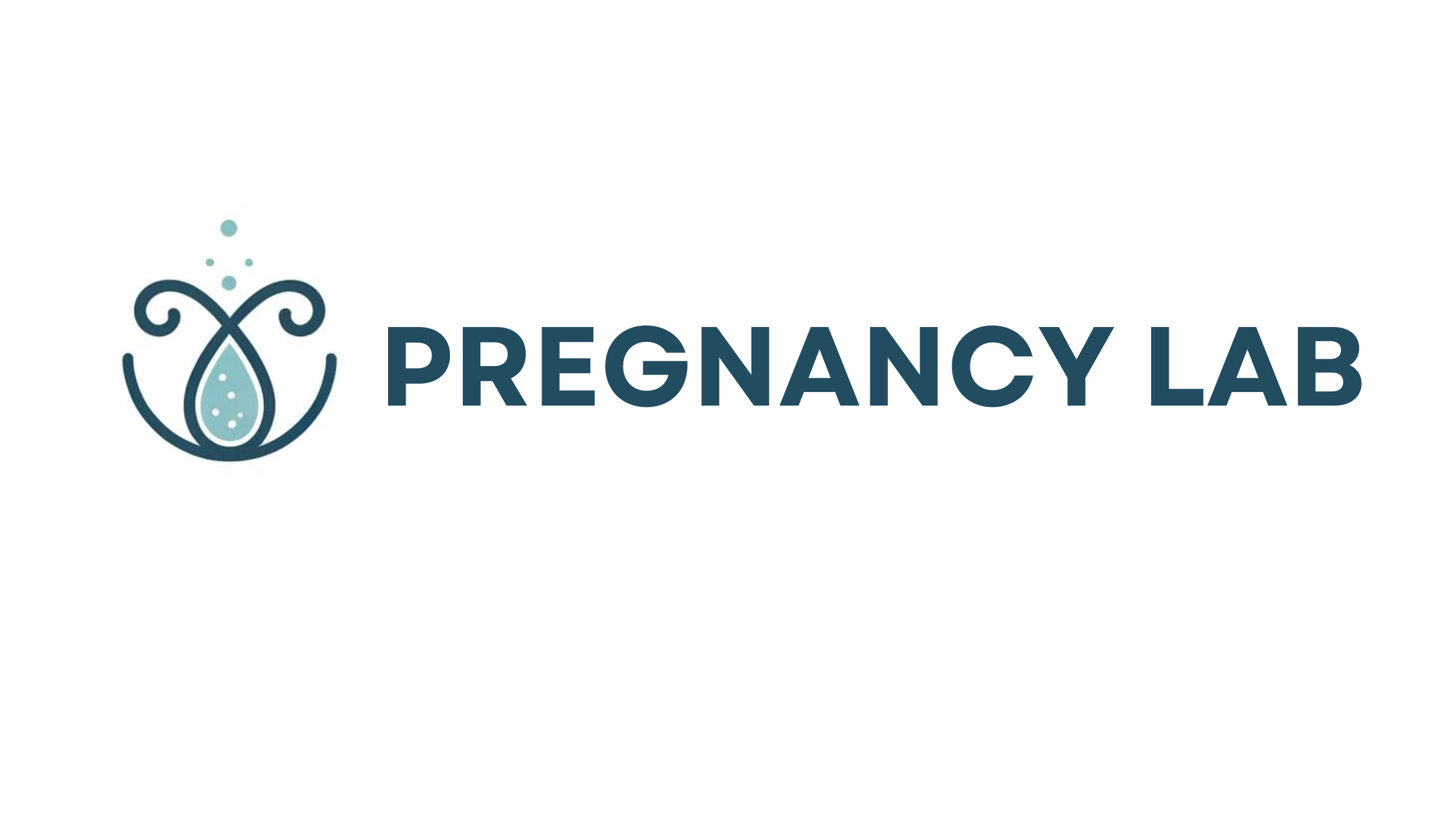 Pregnancy Lab logo for a website that gives tips to women on everything they need to know for a smooth and stress-free pregnancy